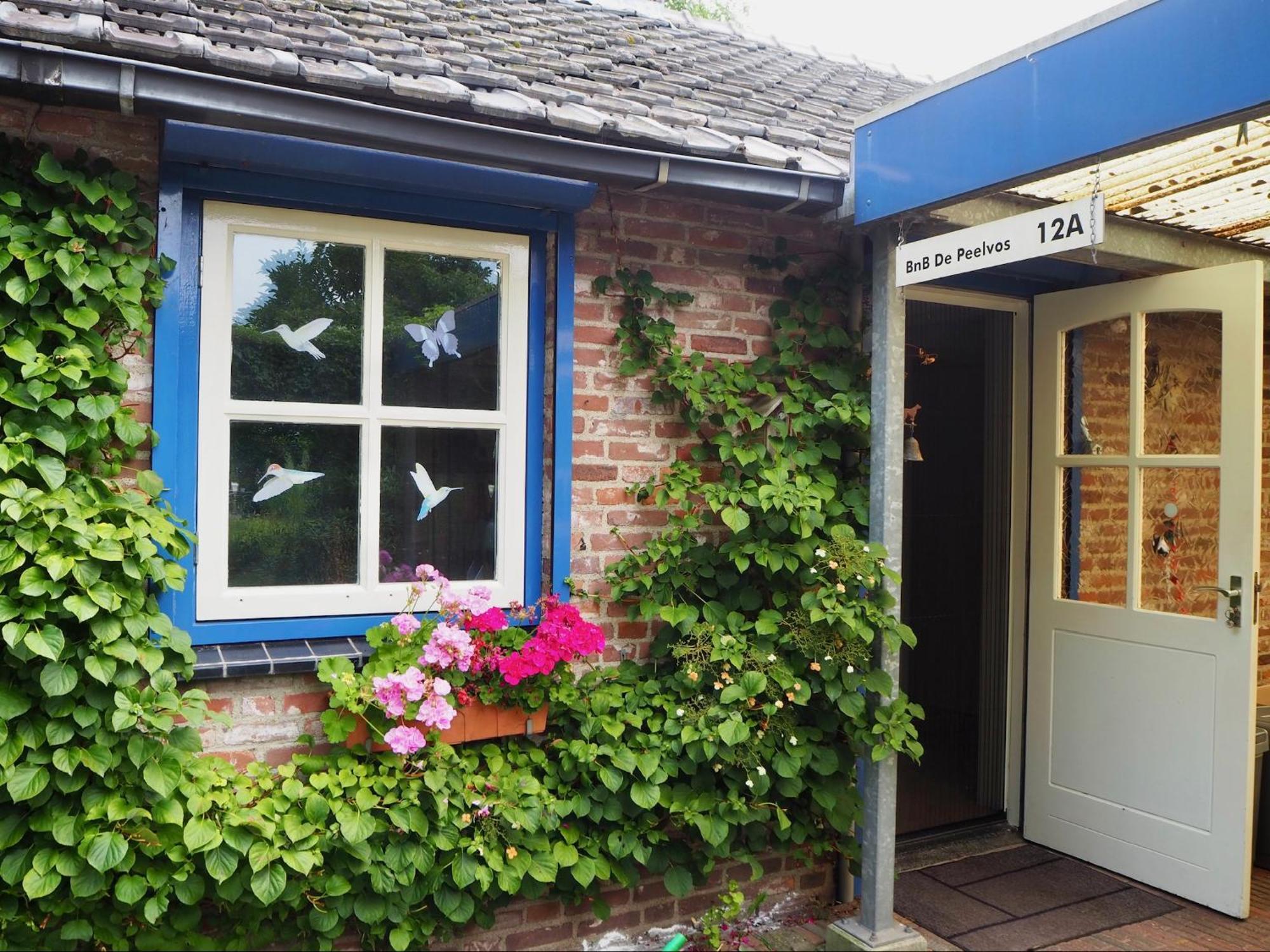 BnB De Peelvos Deurne Buitenkant foto